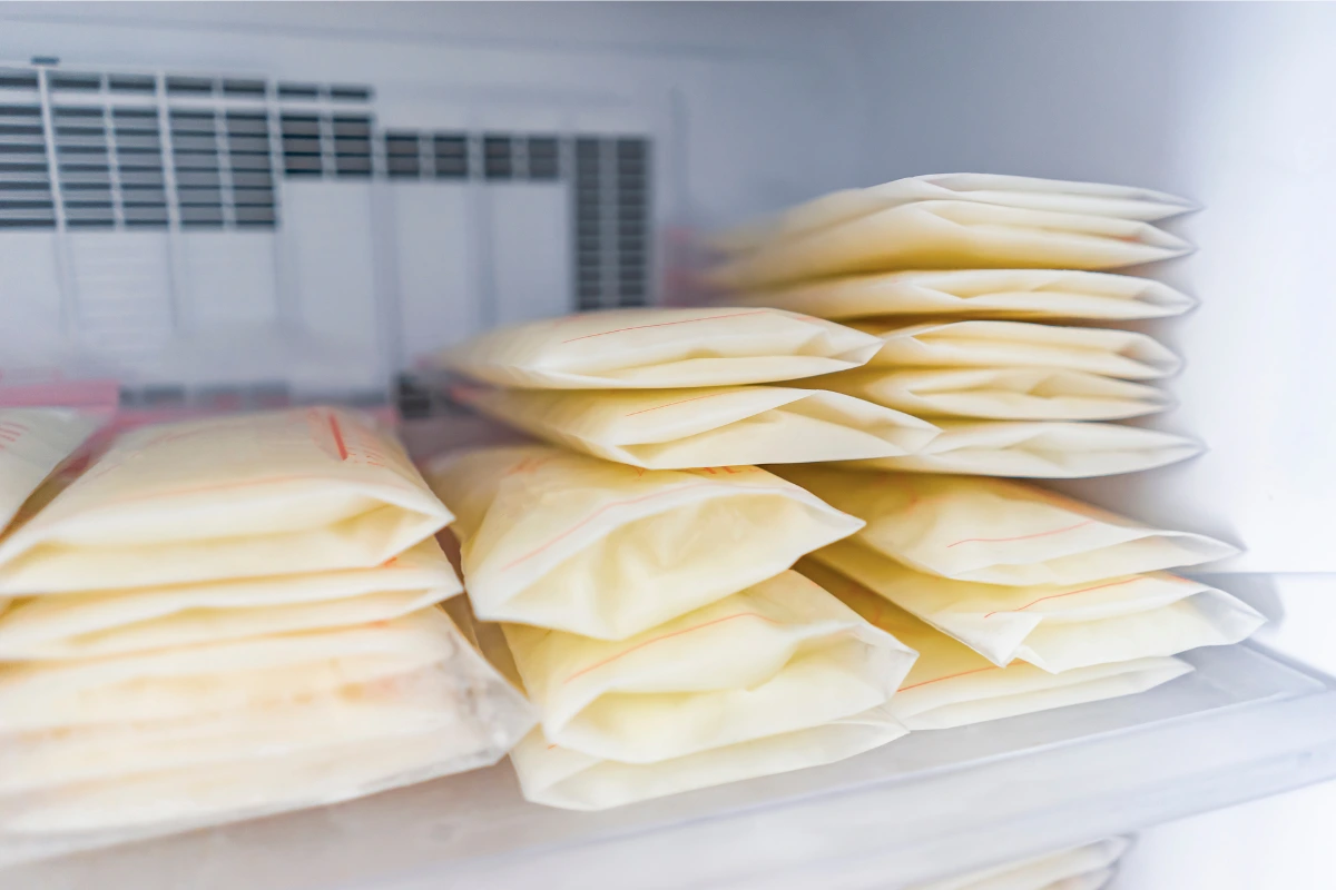 Masa de croquetas congelada en bolsas herméticas dentro de un congelador, lista para su conservación y uso posterior.